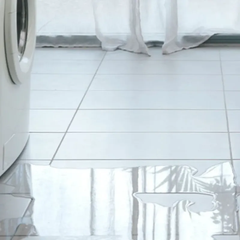 Appliance Leak Cleanup in Hardwick, NJ